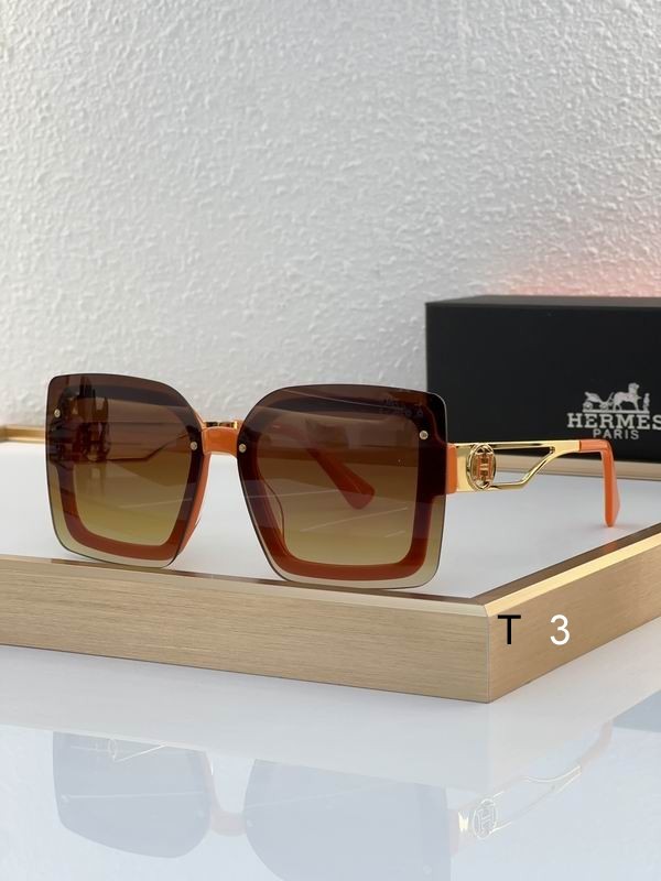 Hermes Sunglasses 27